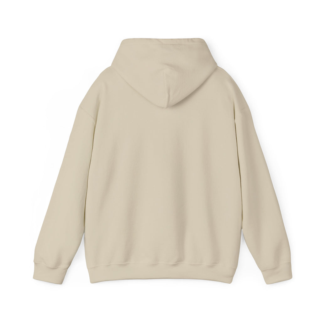 Off to Watch the Match Hoodie | soccer watch party, cozy hoodie