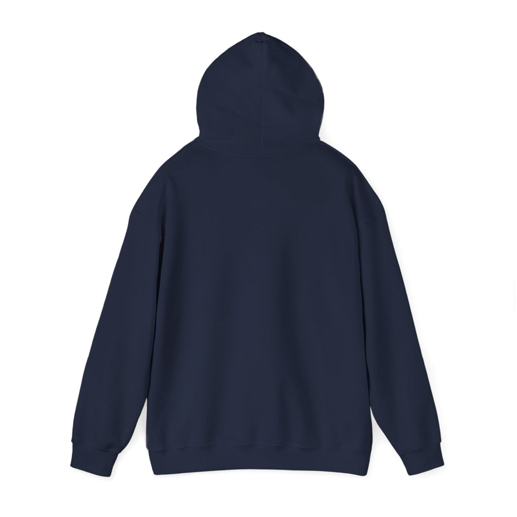 Off to Watch the Match Hoodie | soccer watch party, cozy hoodie