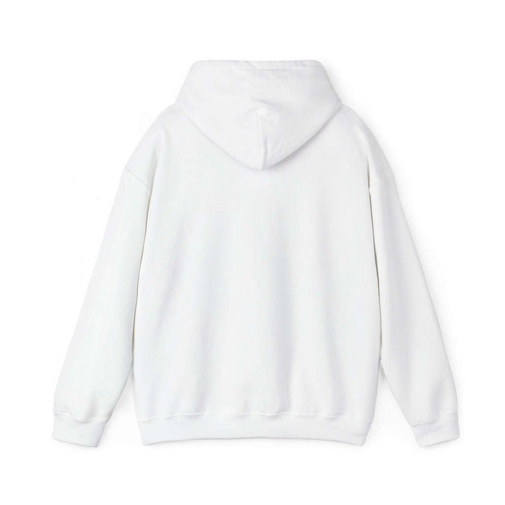Off to Watch the Match Hoodie | soccer watch party, cozy hoodie