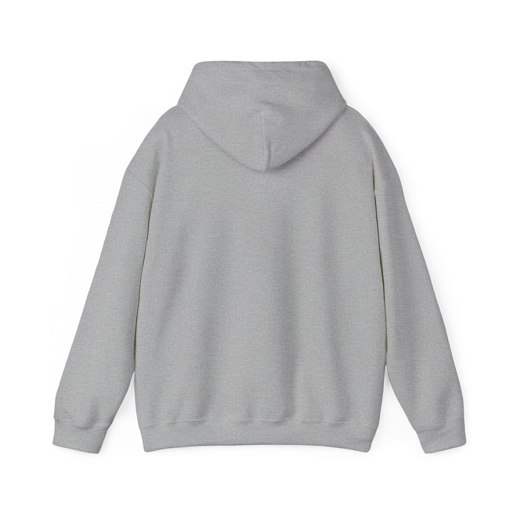 Off to Watch the Match Hoodie | soccer watch party, cozy hoodie